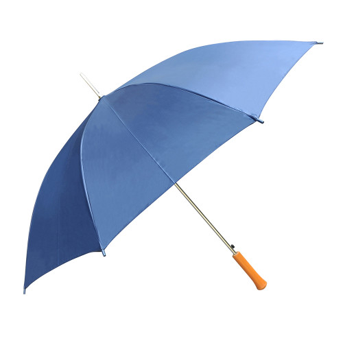 best cheap umbrella